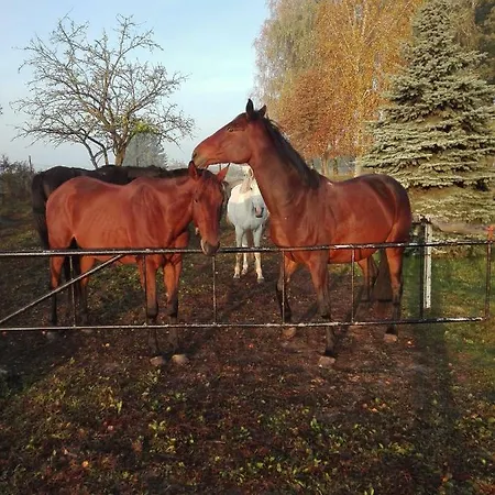 Maltanka Séjour à la ferme